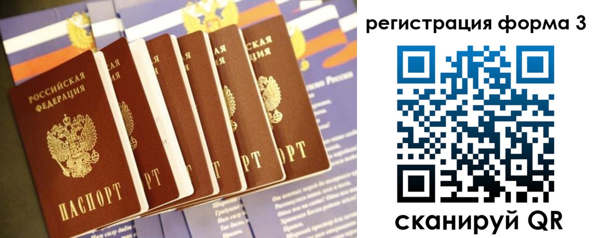 прописка поиск в Нововоронеже